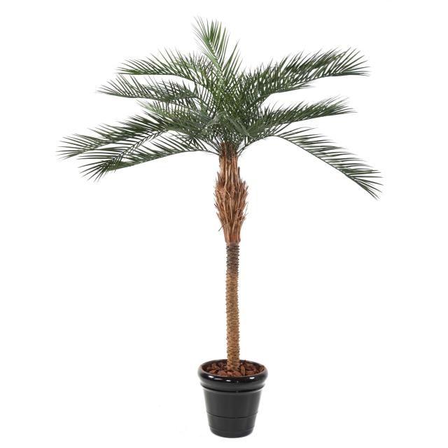 Phoenix Artificiel PLAST - Phoenix Artificiel PLAST