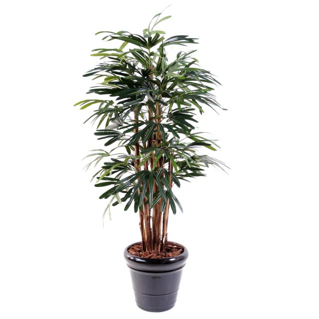 Palmier Artificiel Rhapis Lady - Palmier Artificiel Rhapis Lady