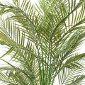 Areca Artificiel Multi TREE