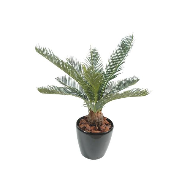 Cycas Artificiel Baby 65cm - Cycas Artificiel Baby