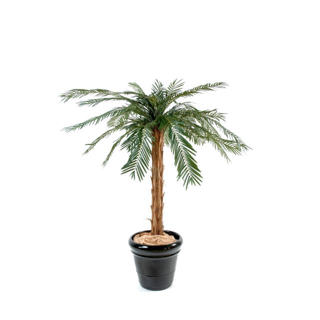 Cycas Artificiel Palm - Cycas Artificiel Palm