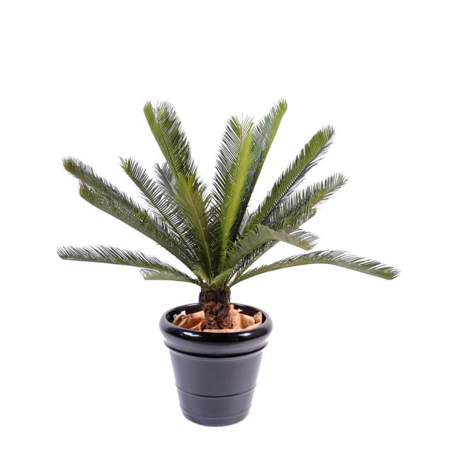 Cycas Artificiel Tronc