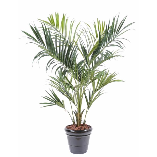 Kentia Royal Artificiel - Kentia Artificiel Royal