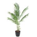 Areca Artificiel 160cm