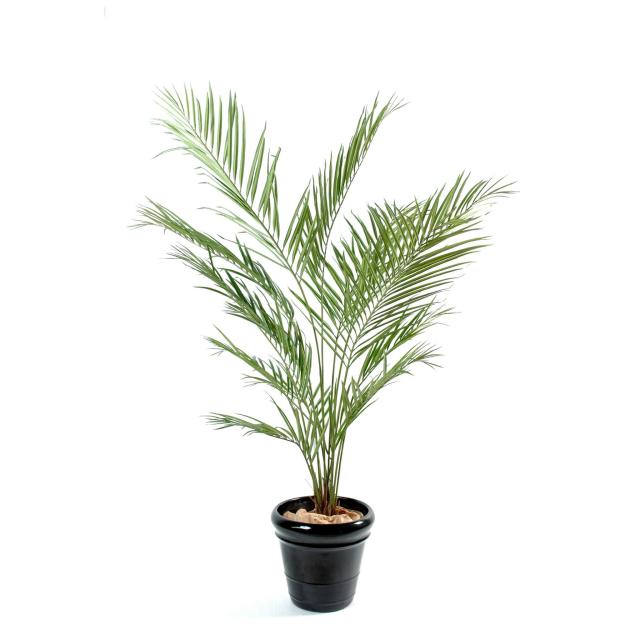 Kentia Artificiel NEW Palm - Kentia Artificiel NEW Palm