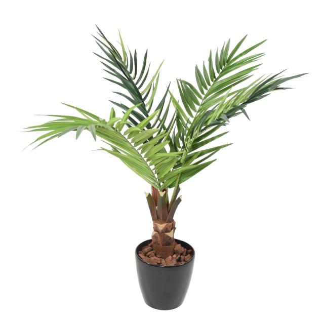 Kentia Artificiel Tronc - Kentia Artificiel Tronc
