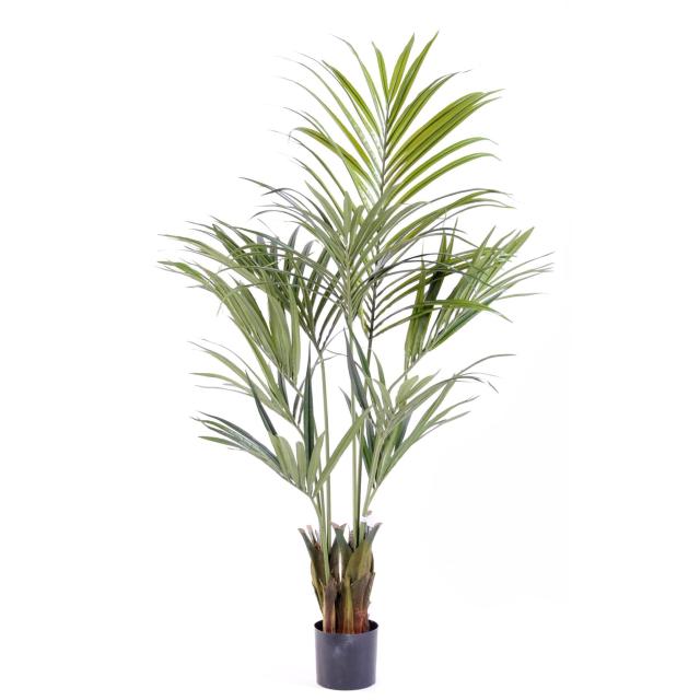 Kentia Artificiel Palm