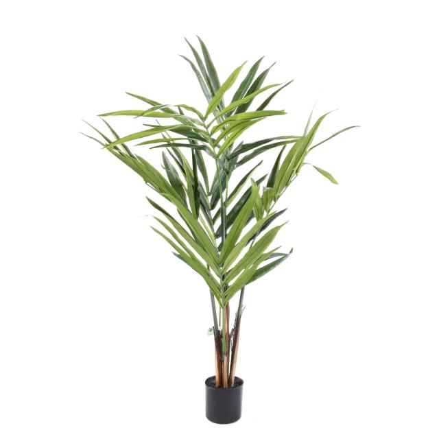 Kentia Artificiel - Kentia Artificiel