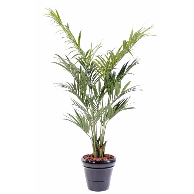 Kentia Artificiel Palm