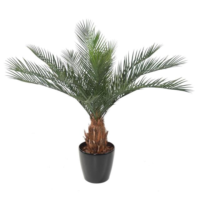 Palmier Phoenix Artificiel Tronc N PLAST - Phoenix Artificiel