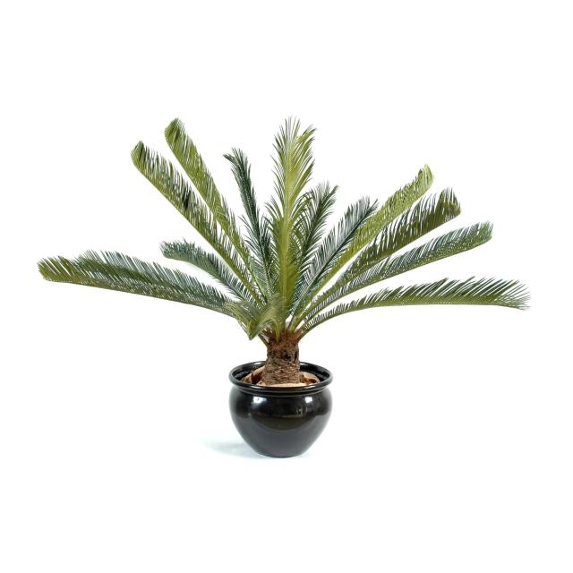 Cycas Artificel Geant 15 Palmes - Cycas Artificiel Geant *15