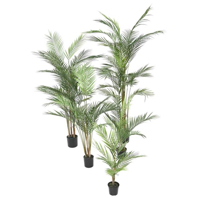 Areca Artificiel PLAST - Areca PLAST Artificiel