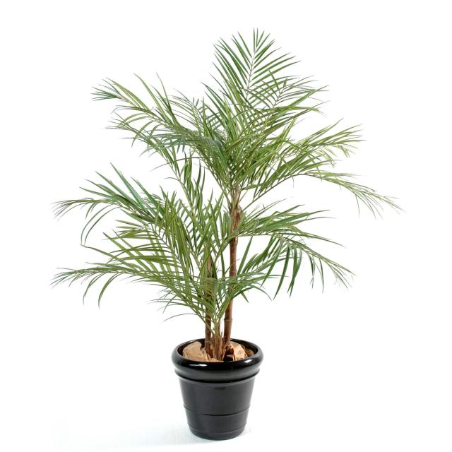 Areca Artificiel Palm 3 Troncs - Areca Artificiel Palm *3