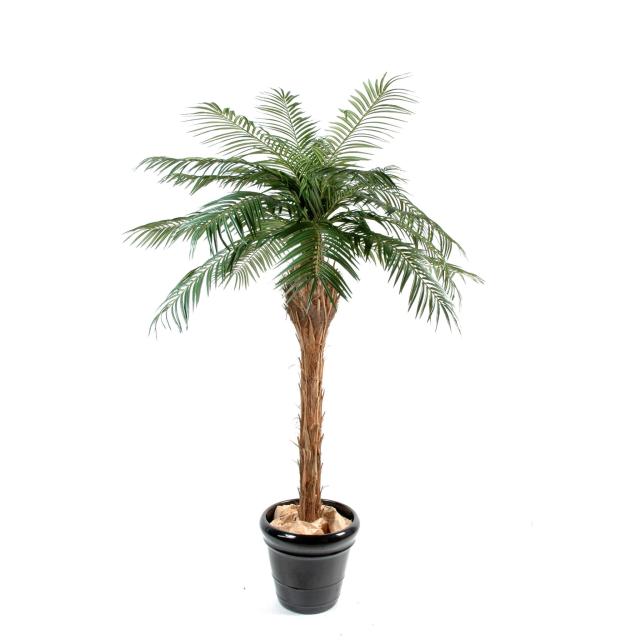 Palmier Phoenix Artificiel - Phoenix Artificiel