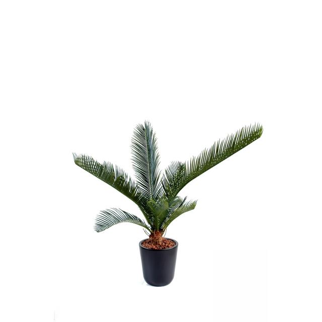Cycas Artificiel Baby 10 Palmes - Cycas Artificiel Baby*10