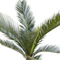 Cycas Artificiel Baby *10