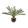 Cycas Artificiel Geant *15