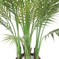 Areca Artificiel Multi TREE